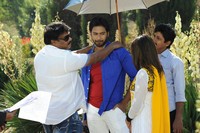 Rose Garden Movie Photos